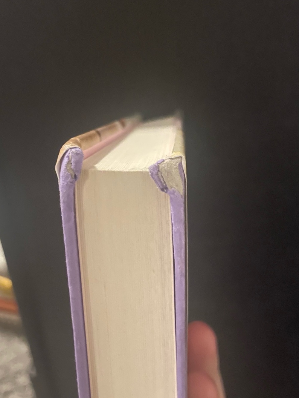 Always and Forever, Lara Jean by Jenny Han - Picture 5 of 5